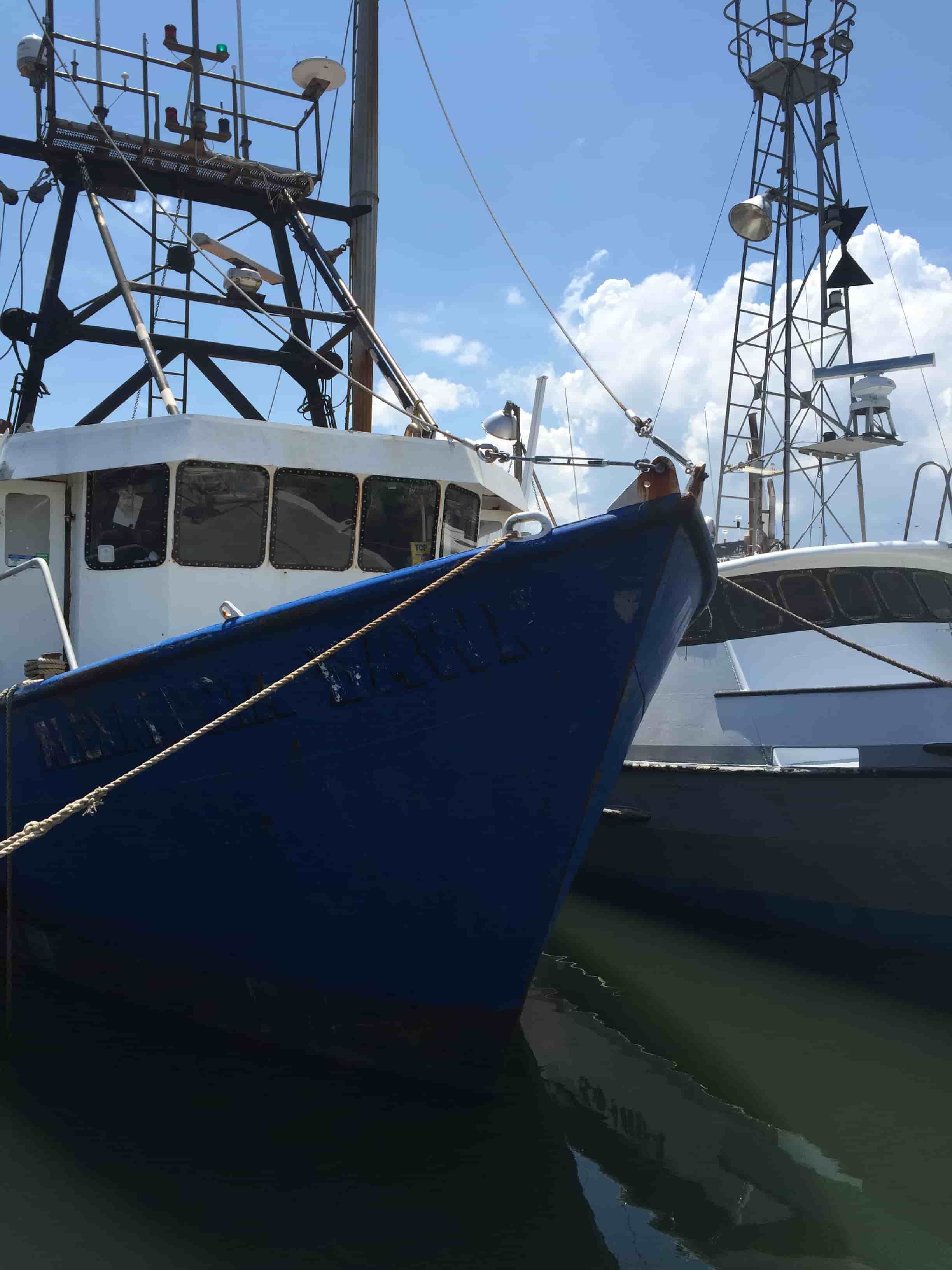 Local Fleet