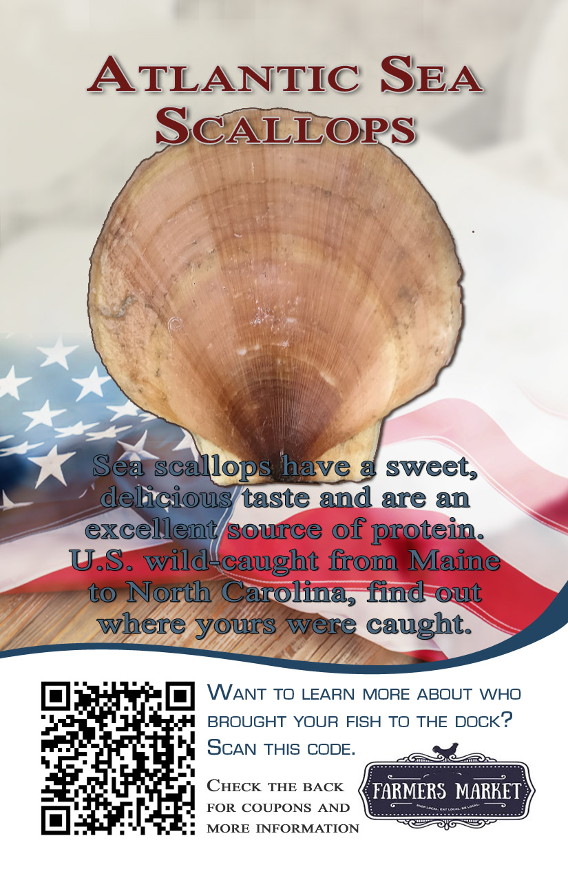 scallop card