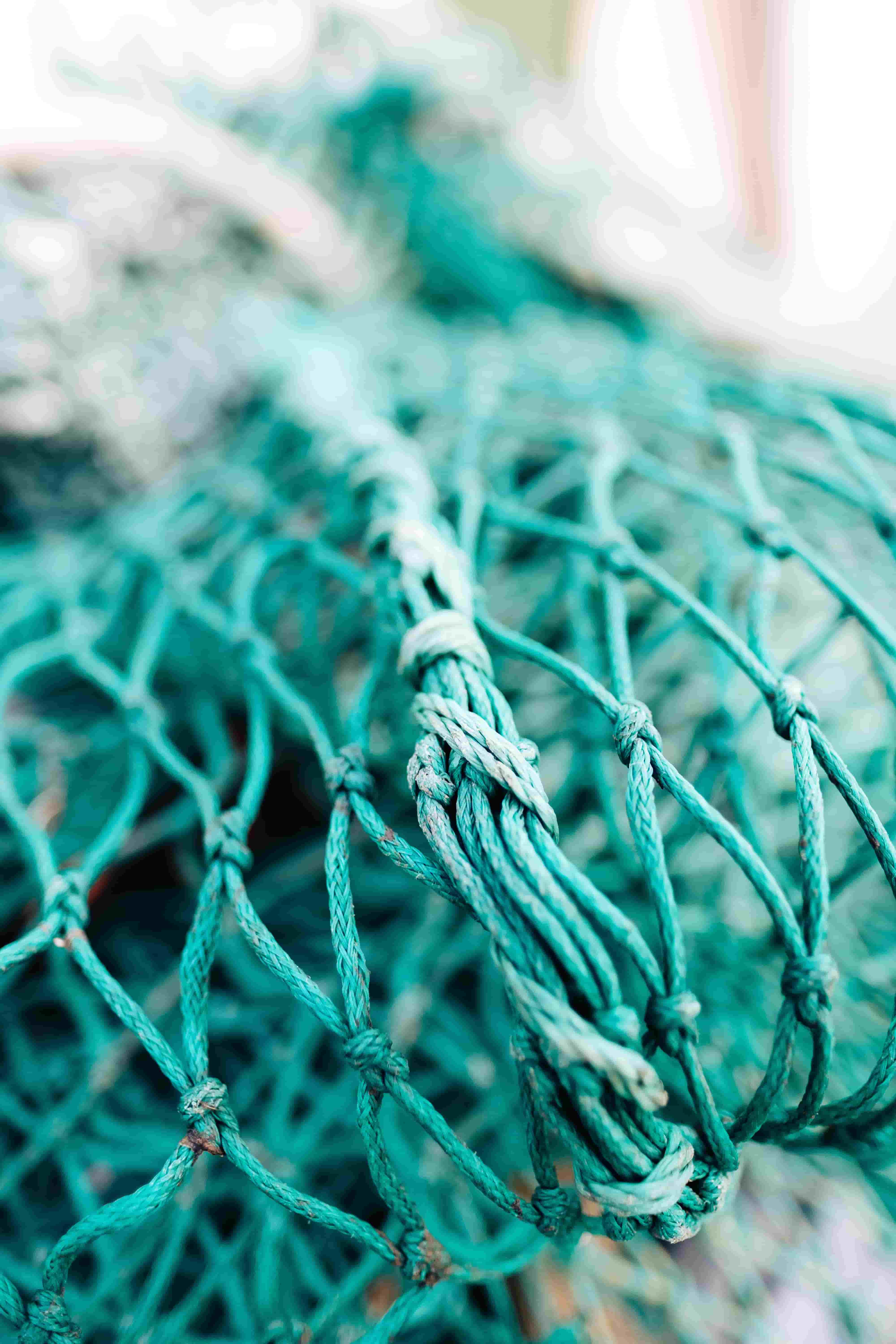 Fishing Net